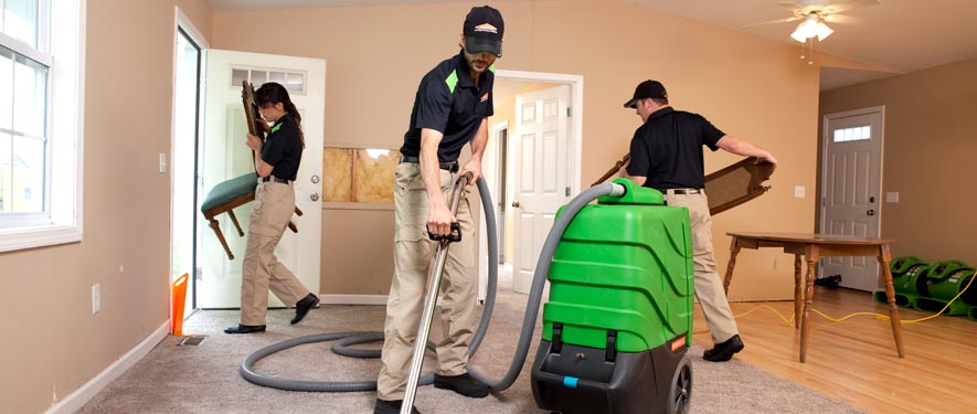 Vista, CA cleaning services